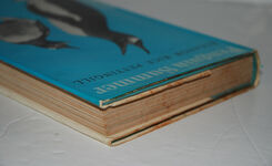 Penguin Summer Additional Image