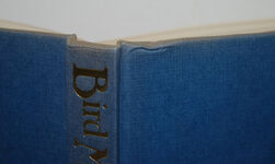 Bird Migration Additional Image