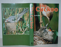 The Cuckoo by Ian Wyllie Additional Image