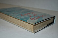 Death of a Navy Additional Image