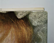 Dolls the Wide World Over Additional Image