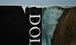 Dolls the Wide World Over Additional Image