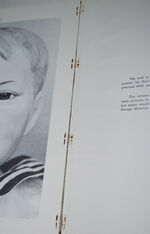 Dimples and Sawdust,  A Practical Guide to a Fascinating Hobby, Additional Image