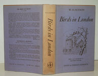 Birds in London Additional Image