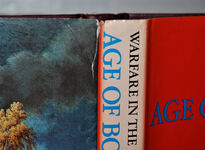 Warfare in the Age of Bonaparte Additional Image