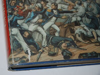 St. Vincent & Camperdown Additional Image