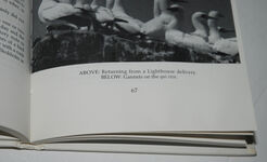 Skokholm The Islanders Additional Image