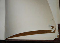 The Voyages & Cruises of Commodore Walker Additional Image