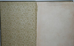 THE WANDERINGS of the BEETLE Additional Image