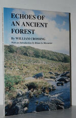 Echoes of an Ancient Forest