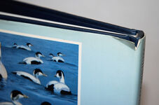 Wild Life and Wilderness An Artist's World Additional Image