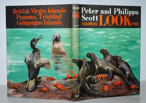 FARAWAY LOOK TWO. Additional Image