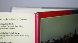 Mighty Eighth Warpaint & Heraldry Additional Image