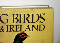 Sporting Birds of Britain and Ireland Additional Image