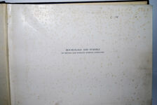 HOUSE-FLAGS & FUNNELS of BRITISH and FOREIGN SHIPPING COMPANIES Additional Image