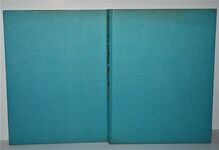 Mosquito At War Additional Image