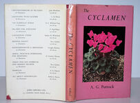 The Cyclamen Additional Image