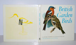 British Garden Birds Additional Image