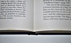 The Stars and the Stripes The American Flag As Art and As History from the Additional Image