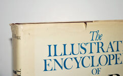 The Illustrated Encyclopedia of Firearms Additional Image