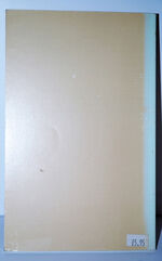 Instinct Combat Shooting Defensive Handgunning for Police Additional Image