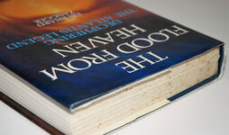 The Flood from Heaven. Deciphering the Atllantis Legend Additional Image