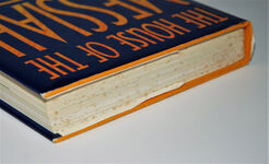 The House of the Messiah Controversial Revelations on the Historical Jesus Additional Image