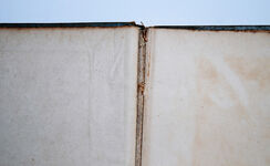 A Fleet in Being Additional Image