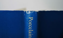 Porcelain of the East Indian Companies Additional Image