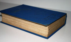 PEG-LIEUTENANT Additional Image