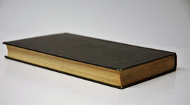 I Flew for the Fuhrer Additional Image