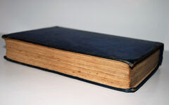 The Life of Neville Chamberlain with Portraits Additional Image