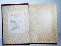 THE TWO CASTAWAYS or ADVENTURES in PATAGONIA Additional Image