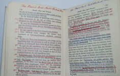 Natal Past and Present Additional Image