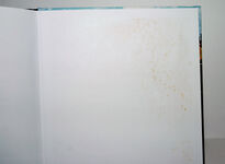 Dawn to Dusk A Colour-Rail Journey in the 1950S and 1960S Additional Image