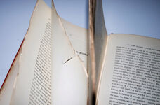 Transactions of the Burton-On-Trent Natural History and Archaeological Additional Image