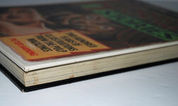 A Pictorial History of Horror Stories Two Hundred Years of Illustrations Additional Image