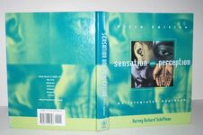 Sensation and Perception Additional Image