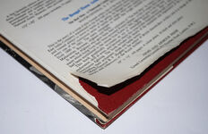 South African War Honours and Awards, 1899-1902 Additional Image