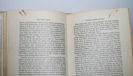 Men with Wings Additional Image