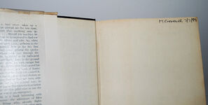 Men with Wings Additional Image