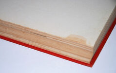 The Hunting of Force Z Additional Image