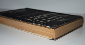 THE WHITE RABBIT Additional Image