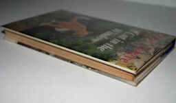 A Cat in My Window (Signed) Additional Image