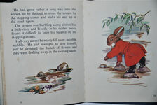 Roddy in the Rain Additional Image