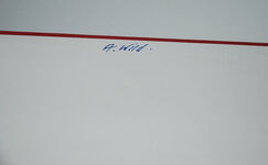 Modigliani Additional Image