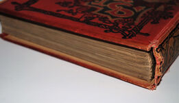 ST. NICHOLAS for YOUNG FOLKS Part One Additional Image