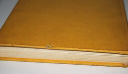 Desert Angels The Story of a Concert-Party in Egypt During the War, Additional Image