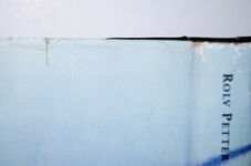 Wealth of Contrasts Nyegaard & Co. a Norwegian Pharmaceutical Company, Additional Image