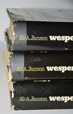 Wespennest Leeuwarden, De Geschiedenis Van De Strijd Van De Duitse Additional Image